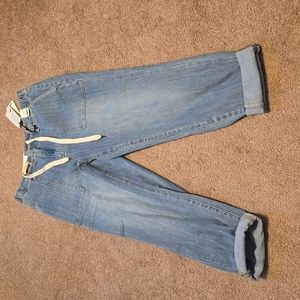 Judy Blue Denim Joggers